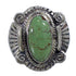 Sterling Silver Turquoise Southwest Ring Size 7-1/4 EX56300